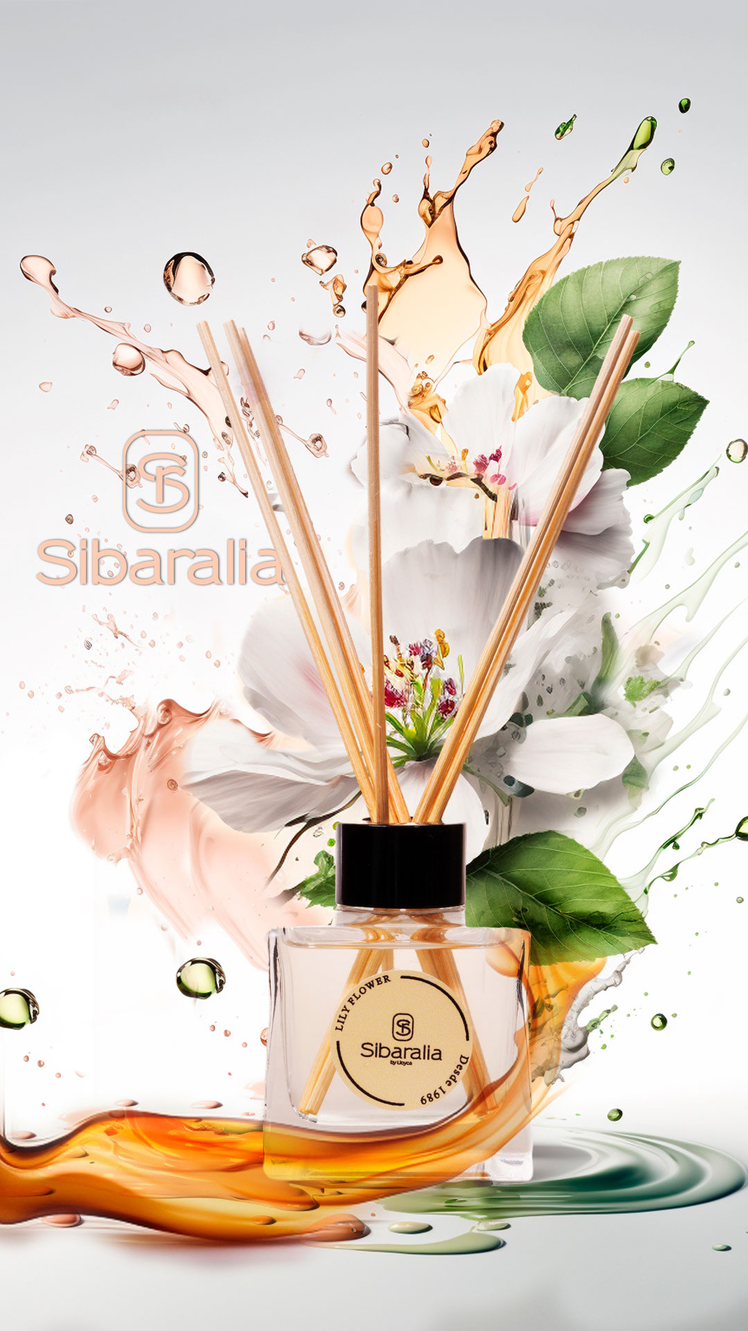 Sibaralia