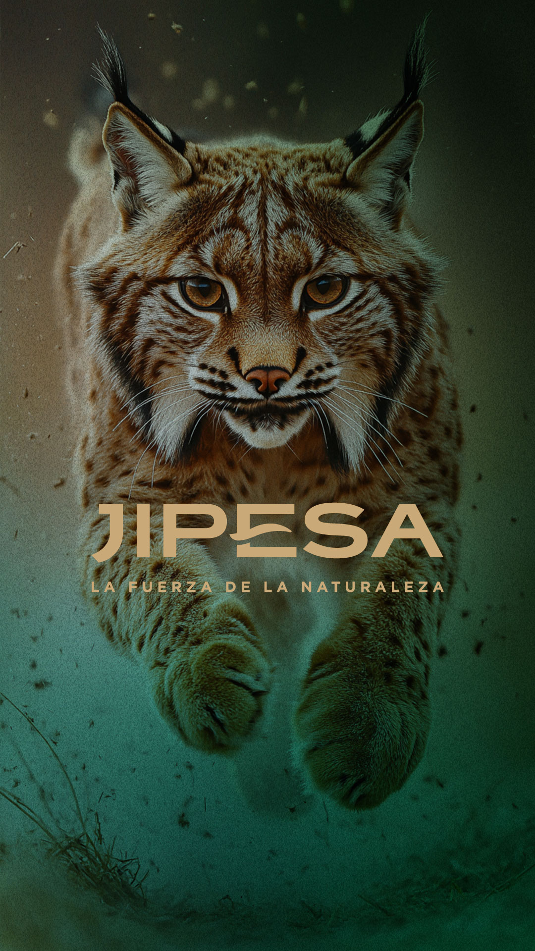 Jipesa